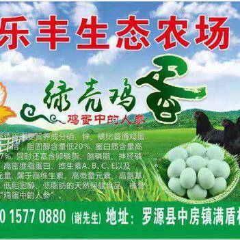 深耕源頭，鏈接餐桌 走進(jìn)農(nóng)產(chǎn)品批發(fā)供應(yīng)商謝依燦的惠農(nóng)網(wǎng)之路