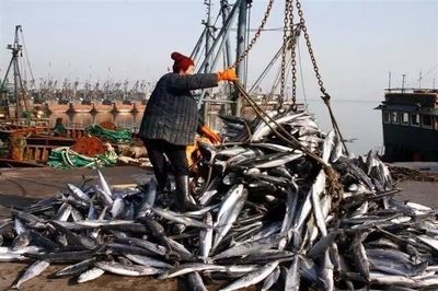 賦能深藍 海洋漁業(yè)機械納入農(nóng)機補貼，助推產(chǎn)業(yè)現(xiàn)代化升級